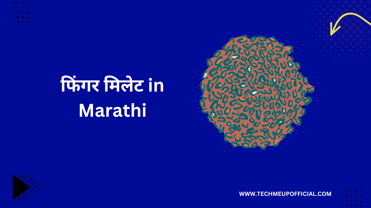 ragi in marathi