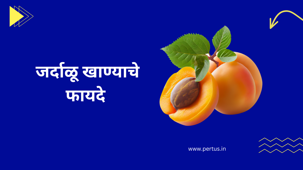 dry apricot in marathi